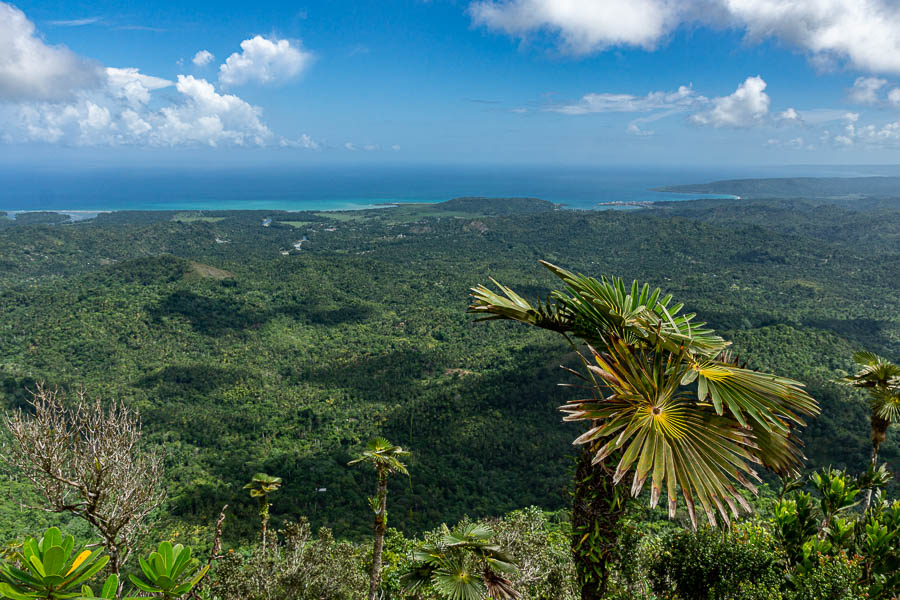 Baracoa : sommet du Yunque, vue est