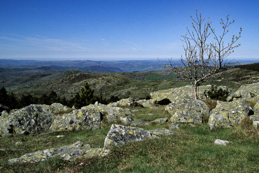 Vue sud-ouest du col de Finiels, au loin les Causses