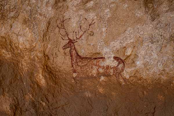 Abri de Chimiachas : peinture rupestre, cerf