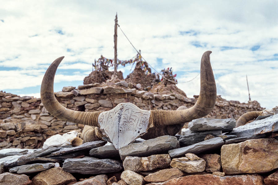 Monastère de Chiu : crâne de yak gravé