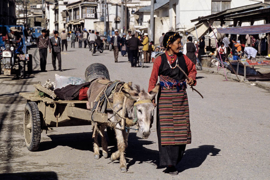 Shigatse : marché, Tibétaine avec sa carriole tirée par un âne