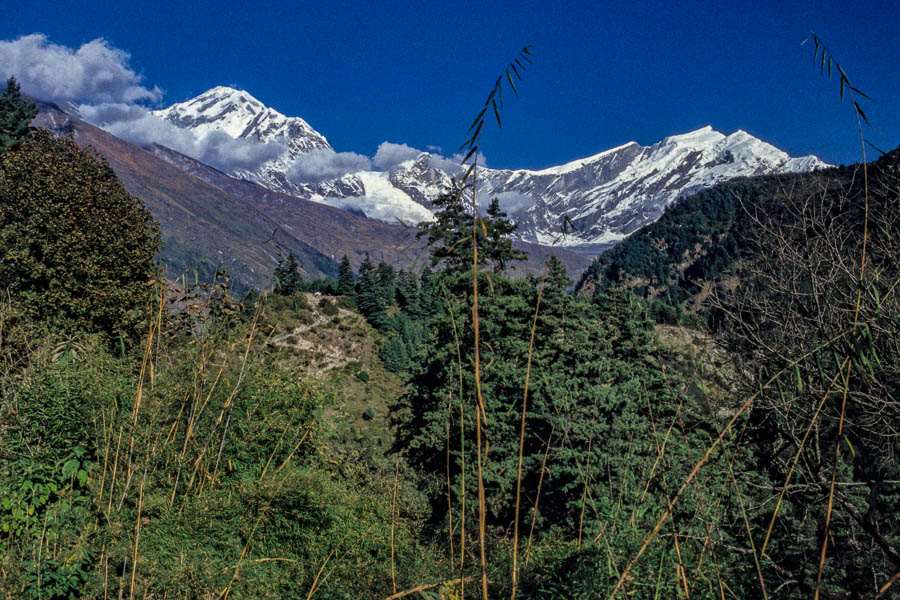 Dhaulagiri et Tukuche Peak