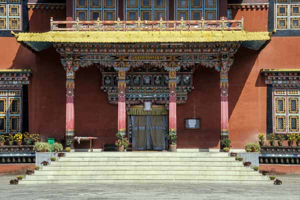 Bodhnath : monastère de Shechen