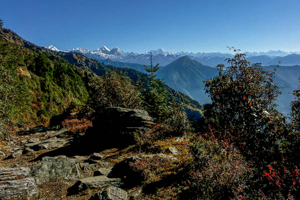 L'Himalaya depuis les environs de Magingoth