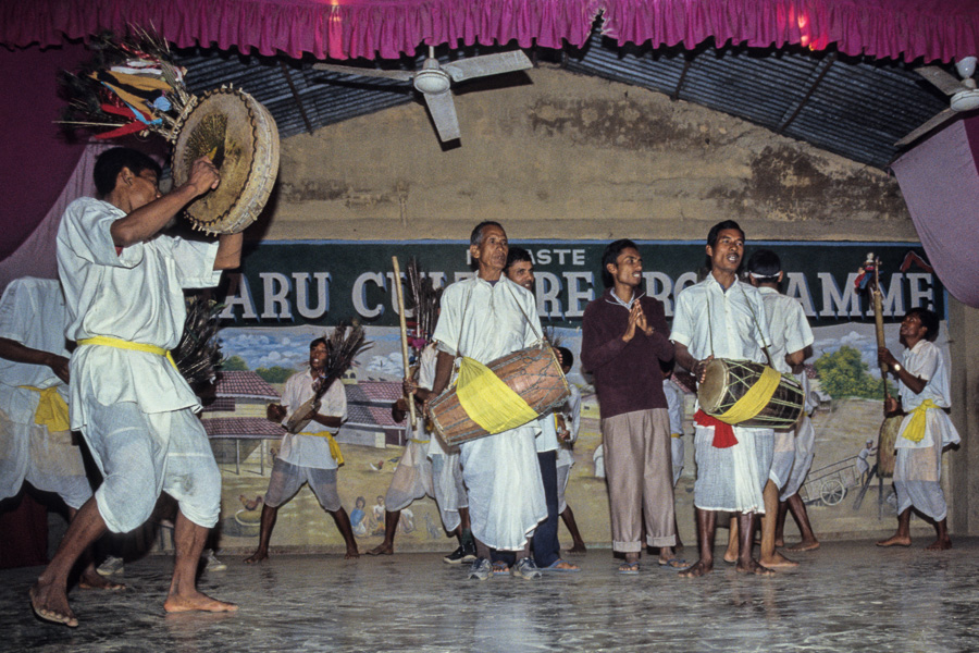 Spectacle culturel tharu : danse des tambourins