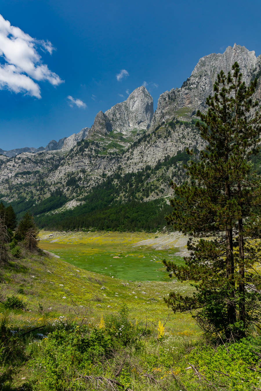 Lac Ropojansko