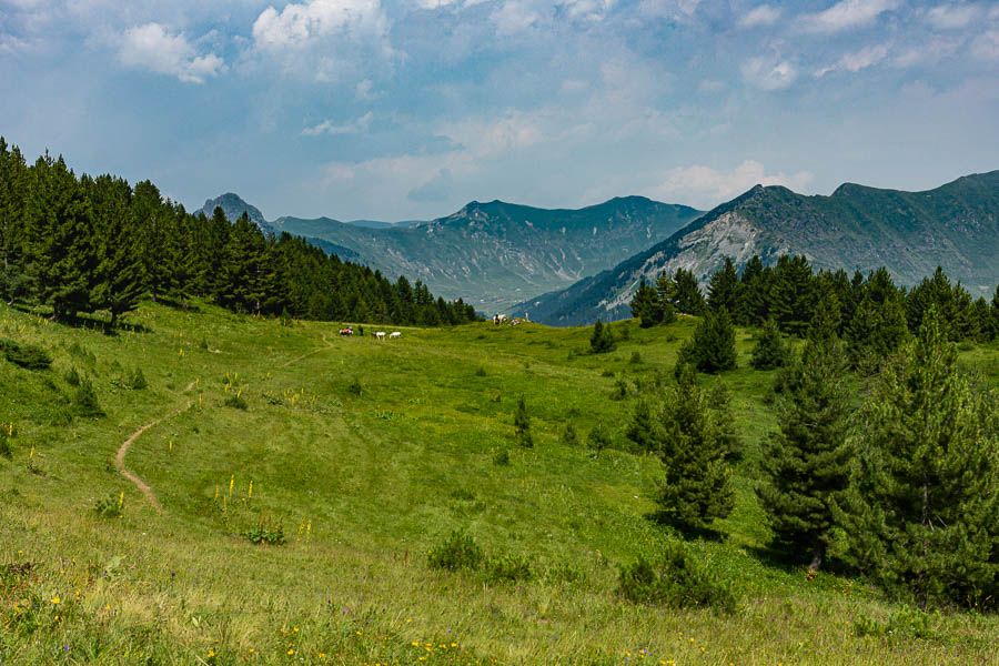 Col, vue vers Doberdol