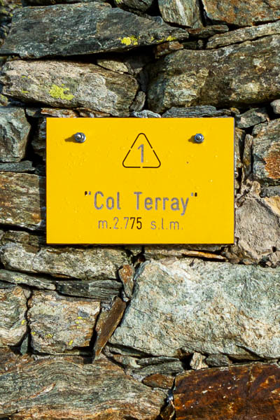 Col Terray
