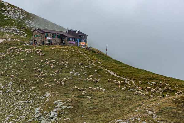 Refuge Coda, 2280 m