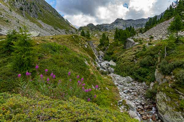 Torrent de Loo