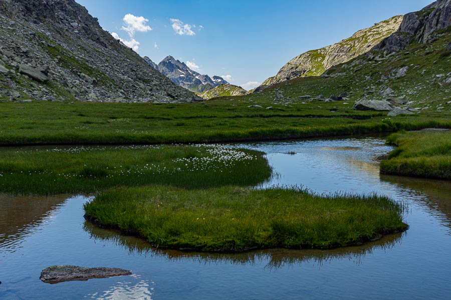 Lac et linaigrettes