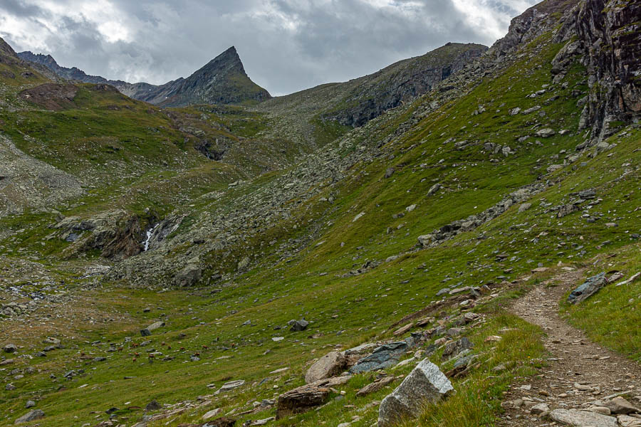 Vers le col Loson, chamois