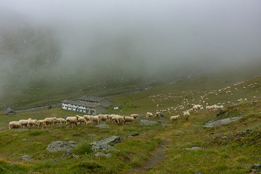 Refuge Sella, 2580 m