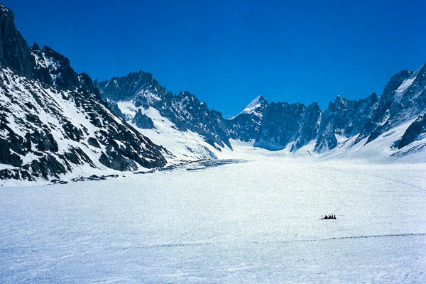 Haut du glacier d'Argentière : mont Dolent, 3819 m