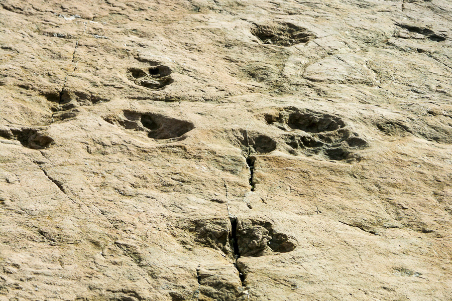 Traces de dinosaures du lac d'Émosson