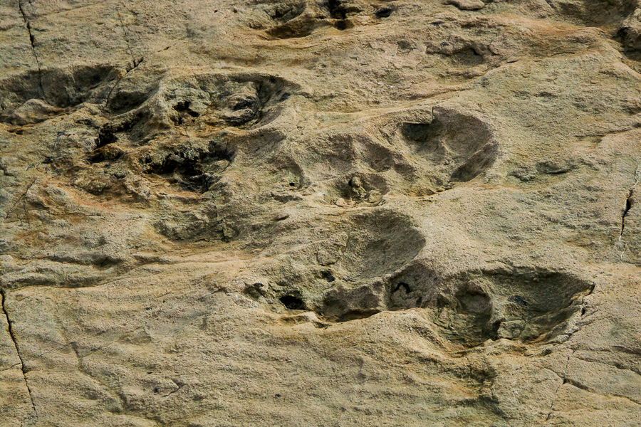 Traces de dinosaures du lac d'Émosson