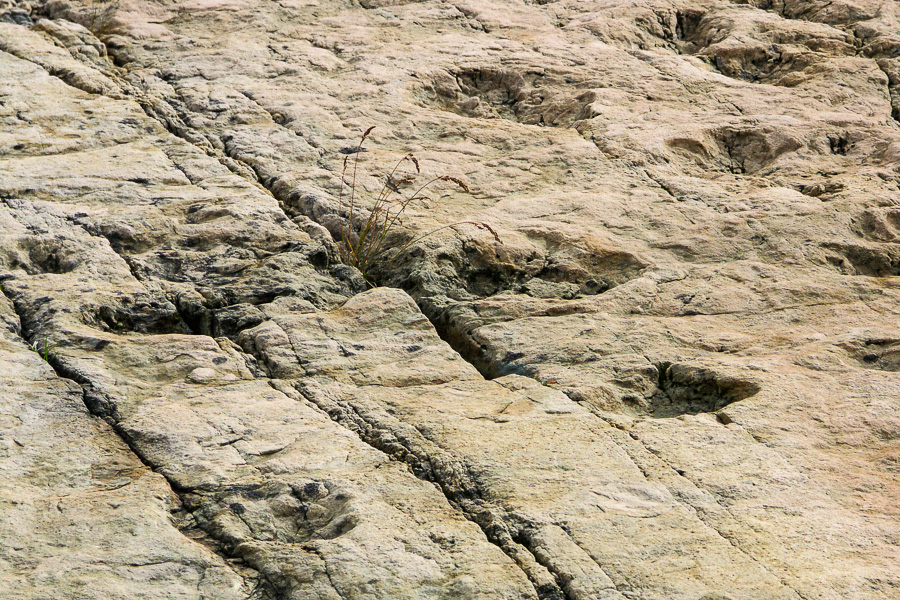 Traces de dinosaures du lac d'Émosson