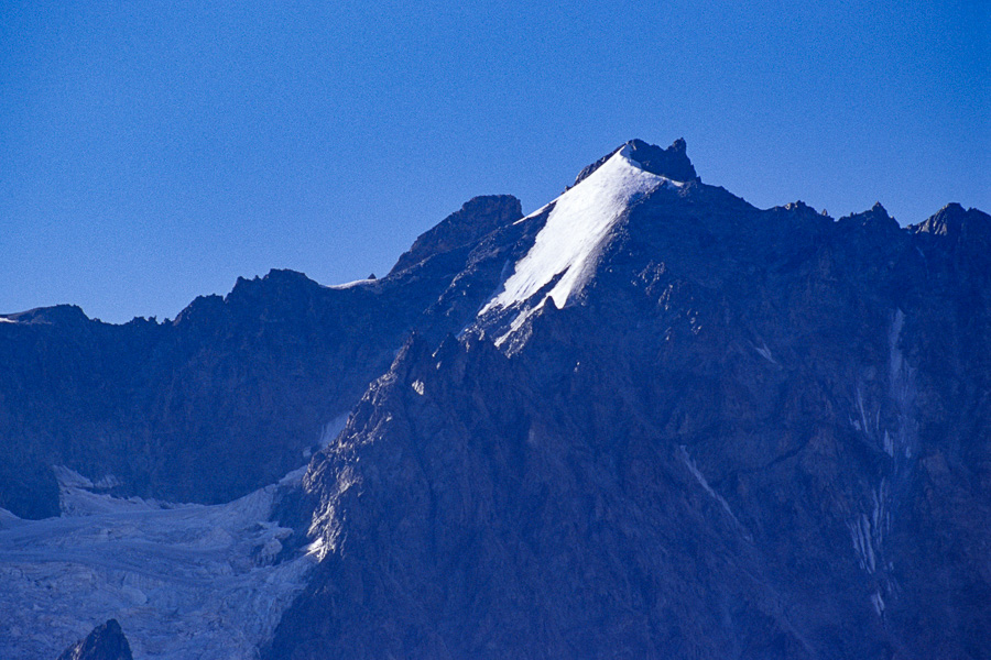 Les Agneaux