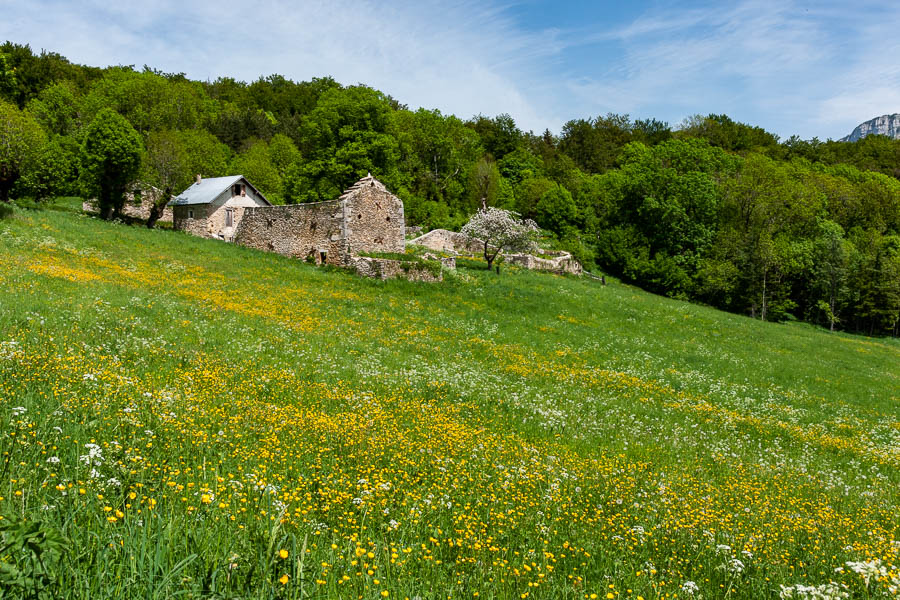 La Goulandière