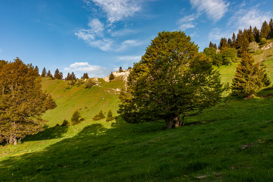 Pas de Bellecombe