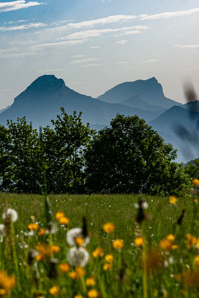 Chartreuse : Chamechaude et dent de Crolles