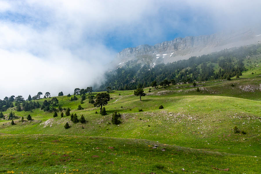 Près de la cabane de l'Essaure