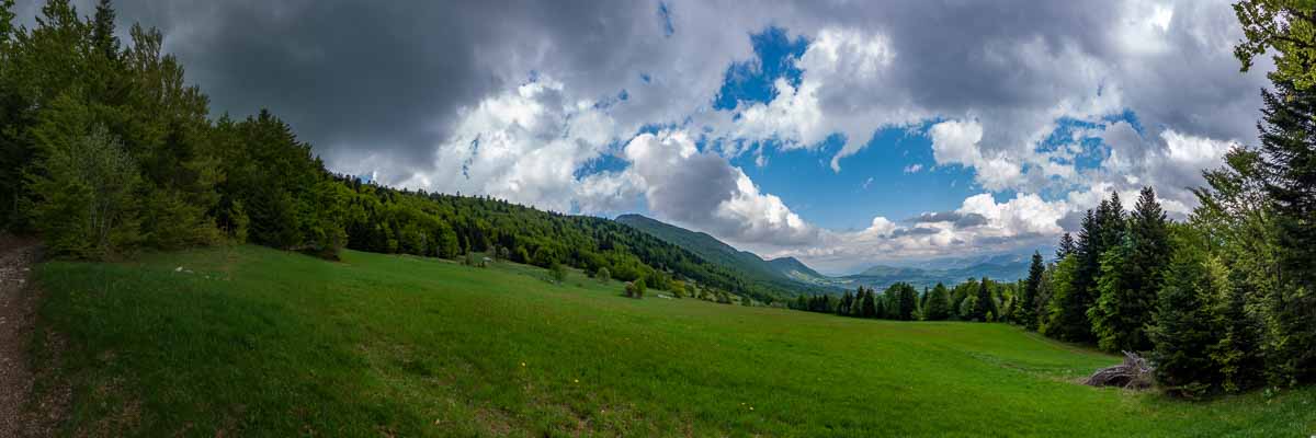 Vue vers Vassieux depuis Piarrou, 1296 m