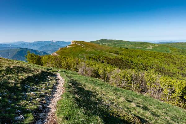 Montagne d'Ambel : vue vers la tête de la Dame