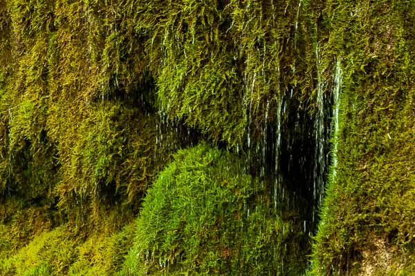 Cascade de la Pissoire