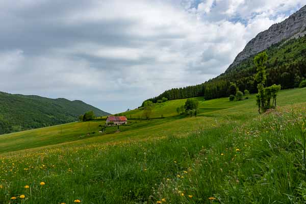 Prés et ferme devant le col de Romeyère