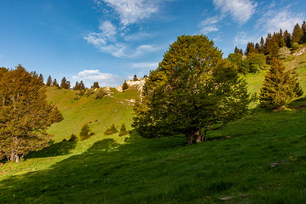 Pas de Bellecombe