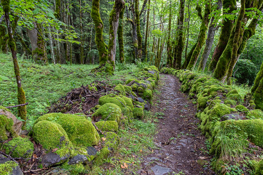 Sentier pavé près de la Pinotte