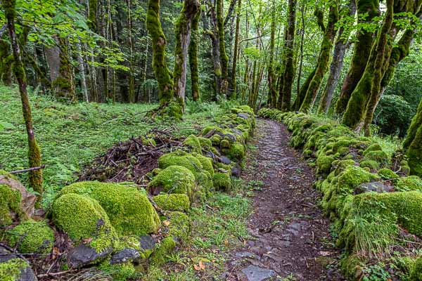 Sentier pavé près de la Pinotte
