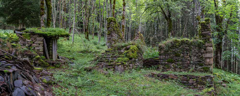 Ruines de la Pinotte