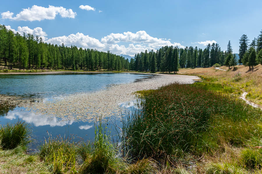 Lac de Roue, 1849 m