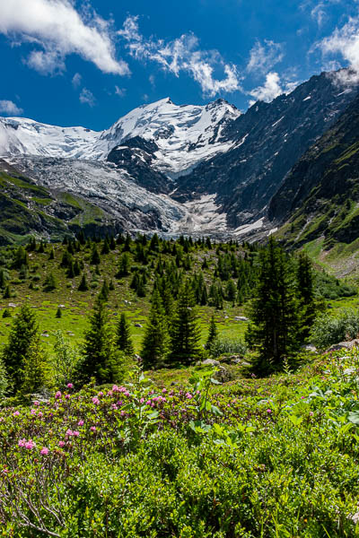 Glacier de Bionnassay