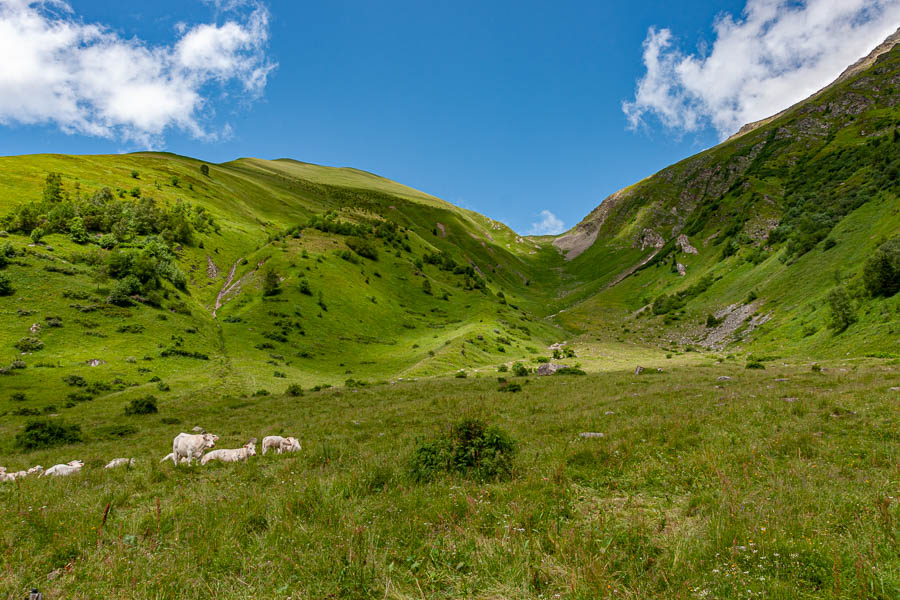 Col de Tricot, 2120 m, versant sud