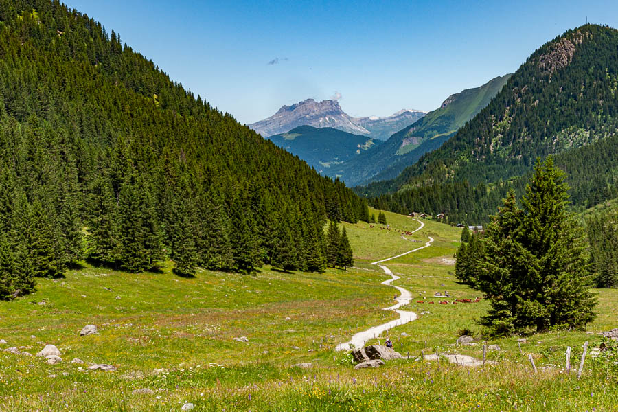 Montée vers la Balme, au loin la Pointe d'Anterne