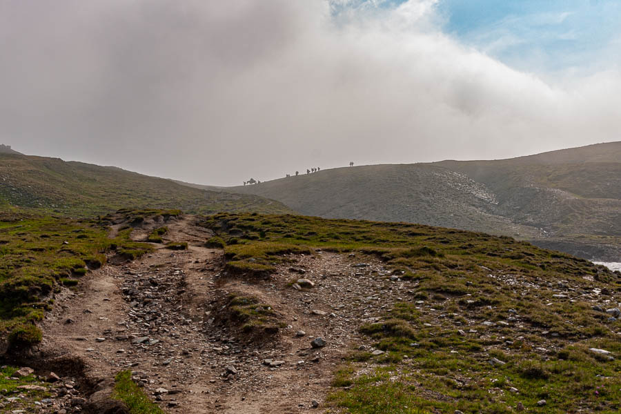 Arrivée au col de la Seigne, 2516 m