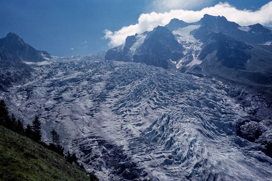 Glacier du Trient