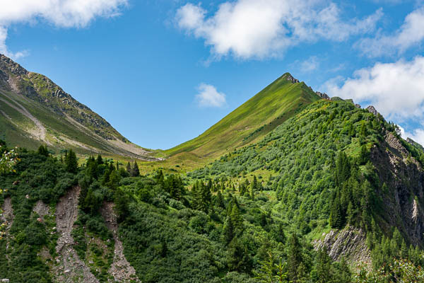 Col de Tricot, 2120 m