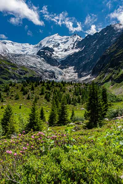 Glacier de Bionnassay