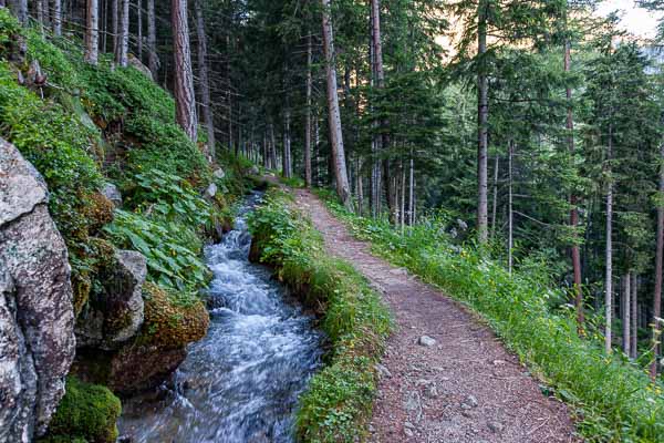 Bisse de Champex