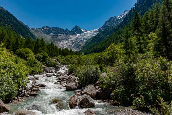 Glacier du Trient