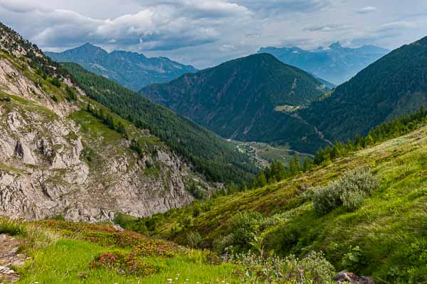 Trient, col de la Forclaz