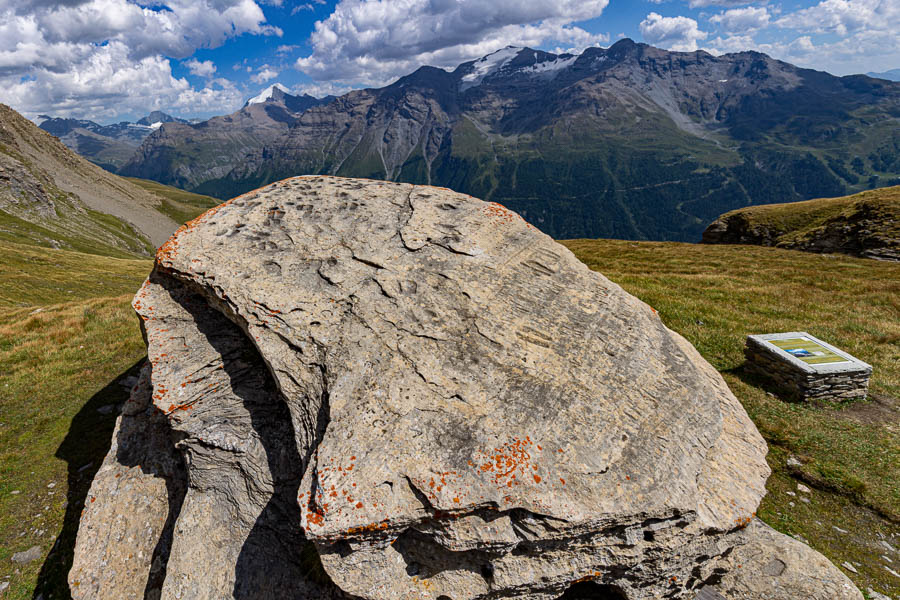 Pierre aux pieds, 2750 m