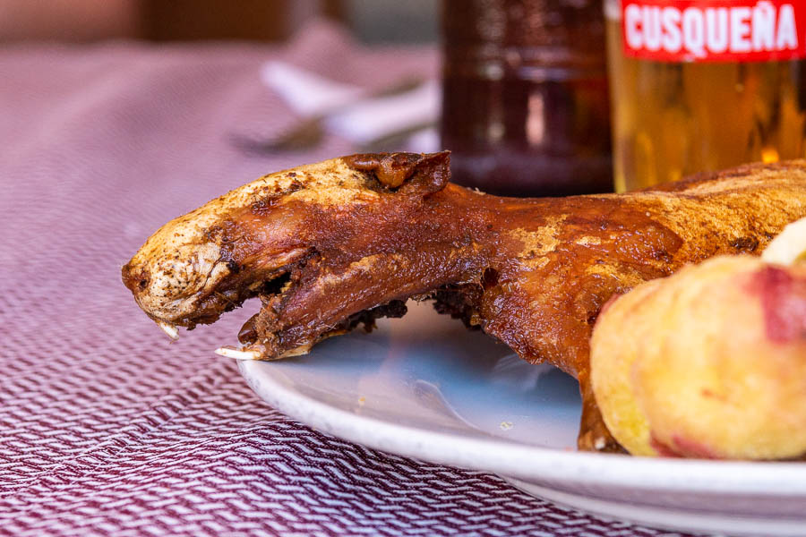 Cuy (cochon d'Inde)