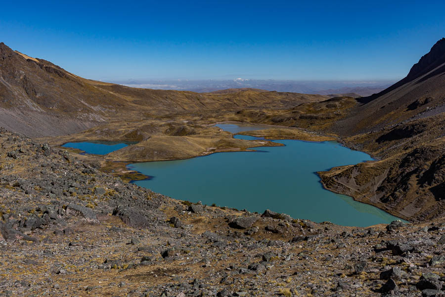 Laguna Pacacocha