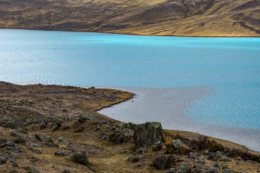 Laguna Singrenacocha, 4355 m