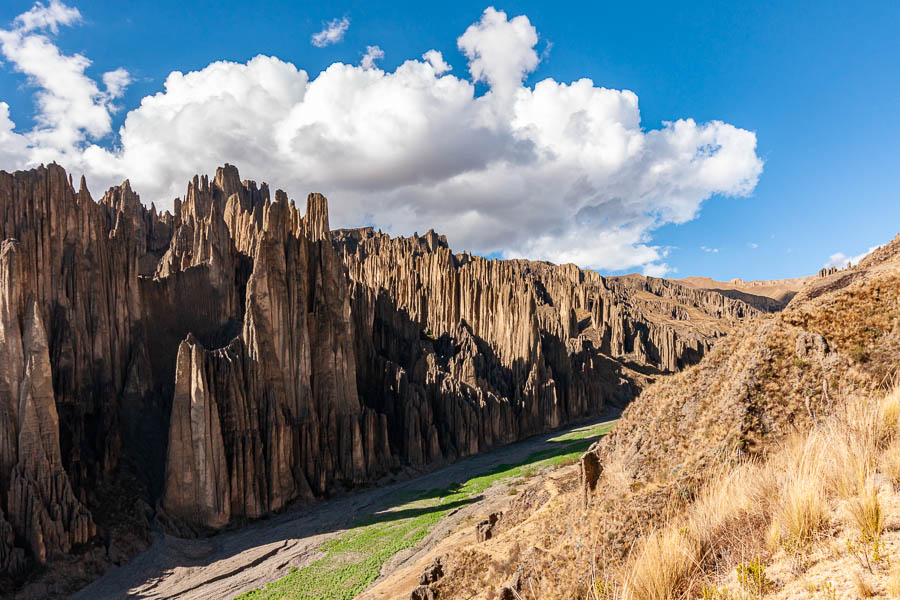 La Paz : vallée de Las Animas